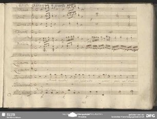 Quintetto: "Non è nulla un affaretto"