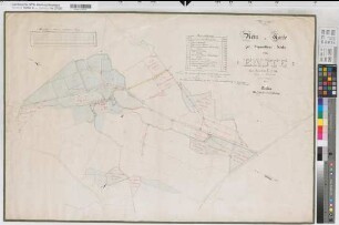 Meschede (Meschede), Hudebefreiung Enste, Reinkarte