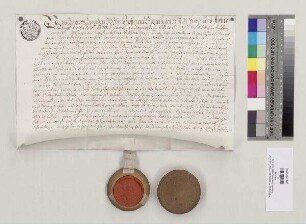 Johann [V.] Baptist [Kraus], Abt von St. Emmeram, verleiht dem Johann Schmid aus Schwabelweis den Weingarten Fachensteiner in Schwabelweis zu Erbrecht. S=A