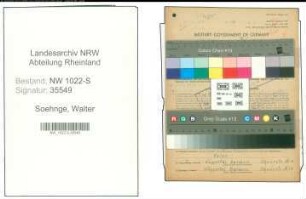 Entnazifizierung Walter Soehnge , geb. 24.12.1905 (Maler)
