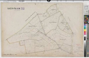 Schale (Hopsten), Umlegung Schale, Urkarte II Flur 19
