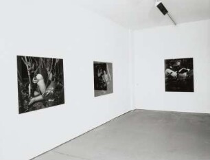Raumaufnahme mit fotografischen Inszenierungen von Naomi Fisher