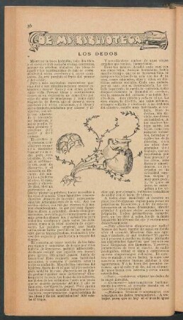 Los dedos : De mi biblioteca