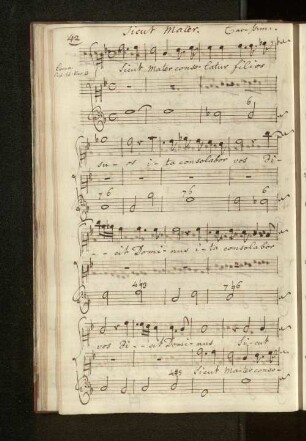 Sicut Mater. Carissimi.