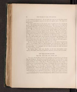 New Zealanders (Maori). Plate VII. Tables XIV., XV., XVIII., XIX.