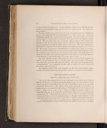 New Zealanders (Maori). Plate VII. Tables XIV., XV., XVIII., XIX.