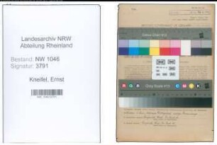 Entnazifizierung Ernst Kneifel , geb. 12.10.1906 (Verwaltungsangestellter)
