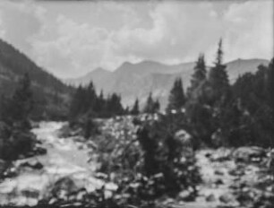 Wald : Blick auf bewaldete Berghänge