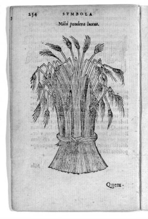 Mihi pondera luxus.