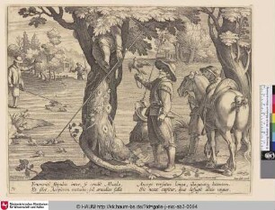 [Feldlerchenjagd mit Falken; Skylark hunt with falcons]