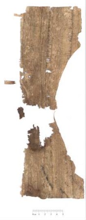 Inv. 21408, Köln, Papyrussammlung