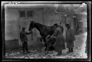 Nicht identifizierbare Ortschaft in Nordfrankreich: 3 Offiziere und ein Pferdebursche neben einem Rappen vor einer Stallung auf schneebedecktem Boden (Seitansicht) ("Pferd")