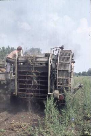 Kartoffelsammelroder E 665
