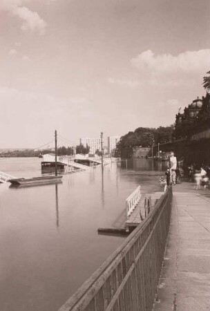 Dresden. Elbehochwasser im Juni 1965 (Wasserstand 6m Dresdner Pegel) : Dresden, Terrassenufer, Landungsbrücken am Altstädter Ufer bei Hochwasser, stromaufwärts gesehen