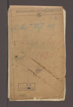 Bildung der Badischen Reichswehr-Brigade 14, Befehle des Kavallerie-Regiments 113
