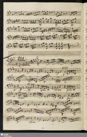 295. Aria: Il contadino geloso / Naumann, J. G.