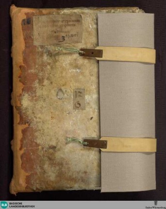 Hrabani Mauri expositiones in Danielem - Cod. Aug. perg. 208