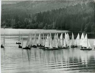 Segelregatta auf dem Schluchsee