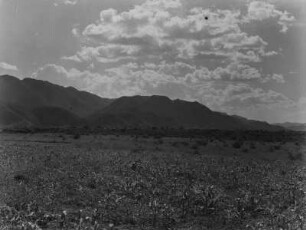 Anseba-Graben : Blick auf die den Anseba-Graben begrenzenden Berge nördlich von Keren