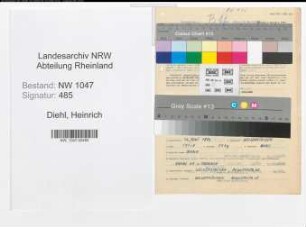 Entnazifizierung Heinrich Diehl , geb. 12.06.1896 (Lehrer)