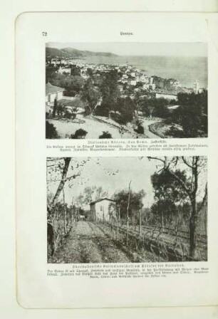 Italienische Riviera, San Remo. Zackenküste