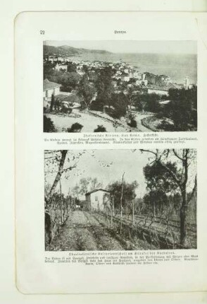 Italienische Riviera, San Remo. Zackenküste