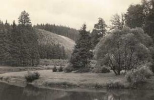 Rochsburg: Muldental am Haulberg