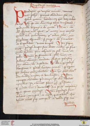 De paradiso tractatus