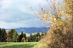 St. Peter: Herbstlaubstimmung vom Lindenberg; Richtung Eschbachtal