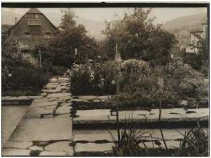Garten Suidter, Luzern: Stauden