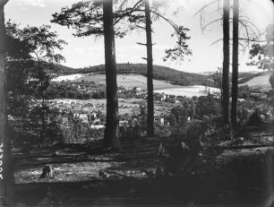 Berggießhübel, Blick durch den Wald auf den Ort