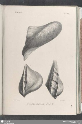 Pl. 395