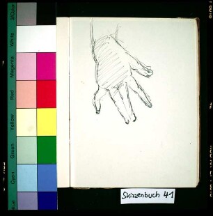 Handstudie