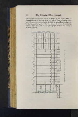 Avonmouth Dock - Longitudinal Section of Granary