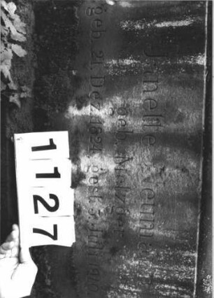 Grabstein 1127 (Detailaufnahme 2)