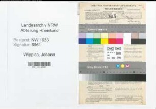 Entnazifizierung Johann Wippich , geb. 22.10.1899 (Beamter)