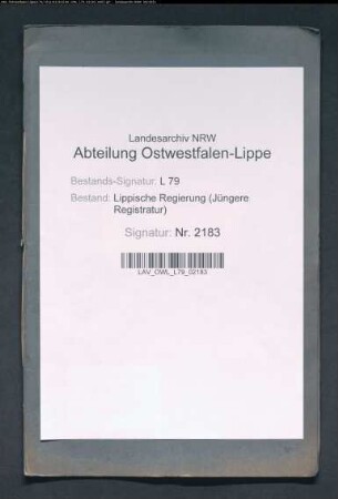 Jahresrechnung der Landesstrafanstaltskasse für 1918/1919