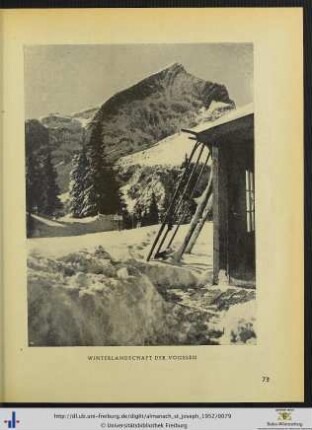 Illustration: Winterlandschaft der Vogesen.