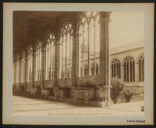 Camposanto Monumentale, Pisa: Innenansicht des Kreuzgangs