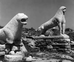 Zwei Löwen : Delos. Löwenterrasse (600ante/576ante). Zwei Löwen