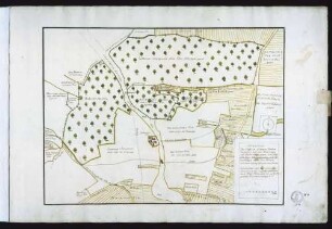 Blatt 1: "Verzaichnus des Hoffs, im Hindern Dinkenthal genannt, zwischen Tomerdingen und Westerstetten gelegen, dem löb(lichen) Gottshauß Elchingen gehörig, samt darzugehörigen Äkern und Hölzern und denen darinn befindlichen Marken"