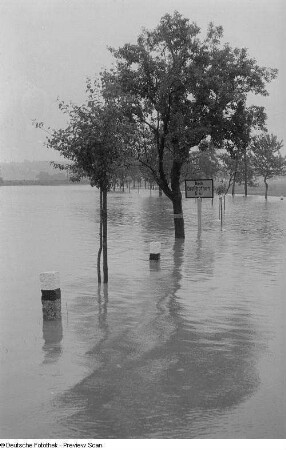 Blick auf eine überschwemmte Landstraße
