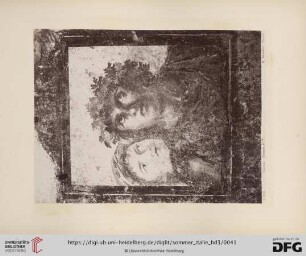 No.11918 (?) Fauno. Fresco di Pompei