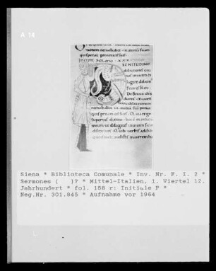 Sermones (...)? — Initiale P, Folio fol. 158 r