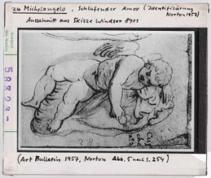 zu Michelangelo: schlafender Cupido, Ausschnitt aus Skizze Windsor Nr. 8911