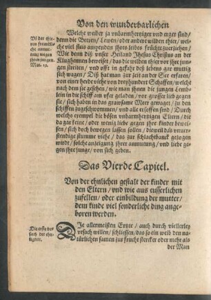Das Vierde Capitel.