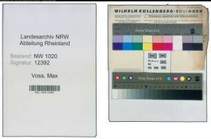 Entnazifizierung Max Voss , geb. 00.00.0000 (Beamter)