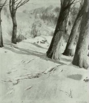 Wintersonne