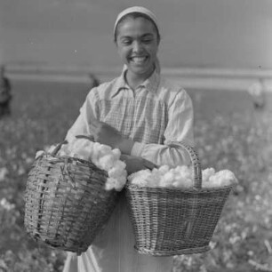 Baumwollernte auf den Feldern der Landwirtschaftlichen Produktionsgenossenschaft in Usundshowo. Frau bei der Ernte