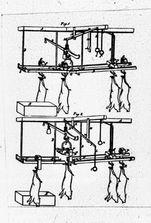 Automatisierter Schlachtbetrieb
